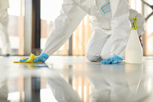 Best floor cleaners Best floor cleaners