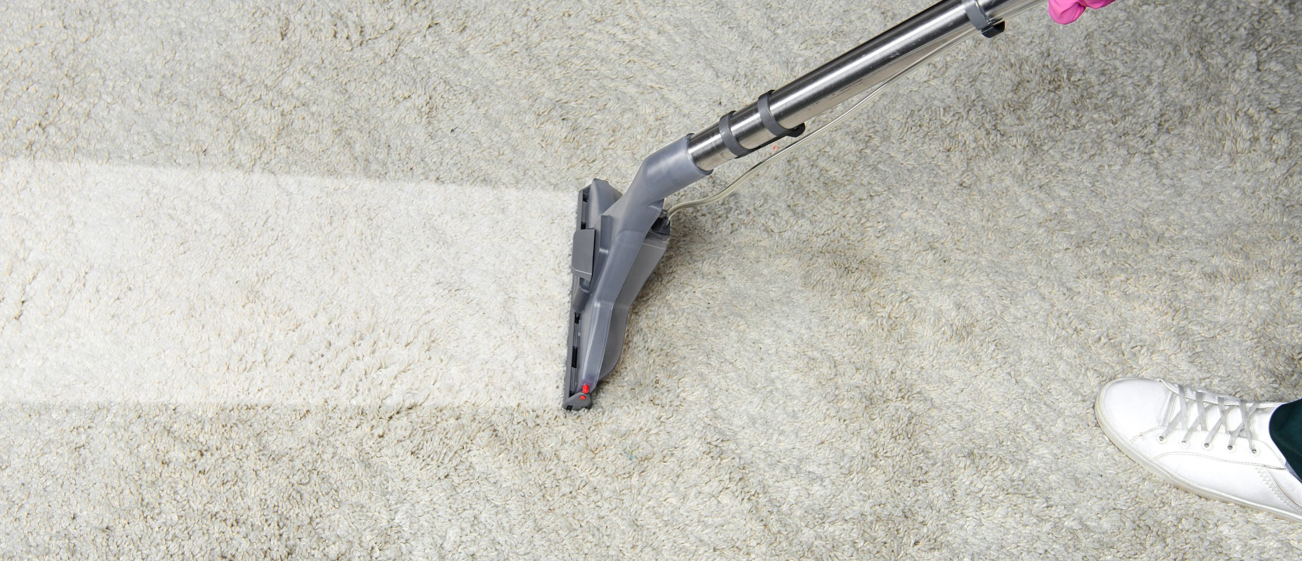 Professional Carpet Cleaning Services