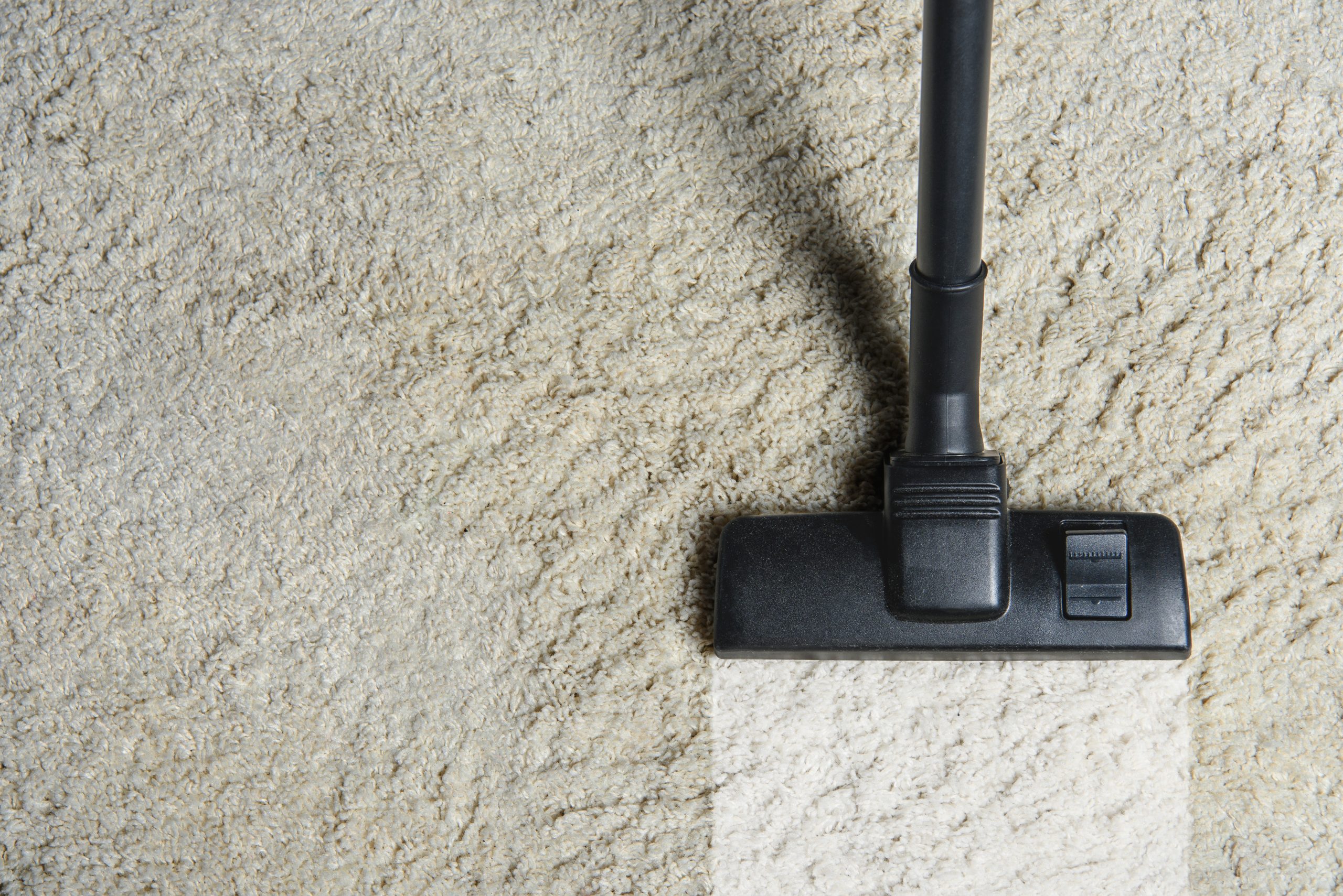 Commercial Carpet Cleaning & Carpet Steam Cleaning 