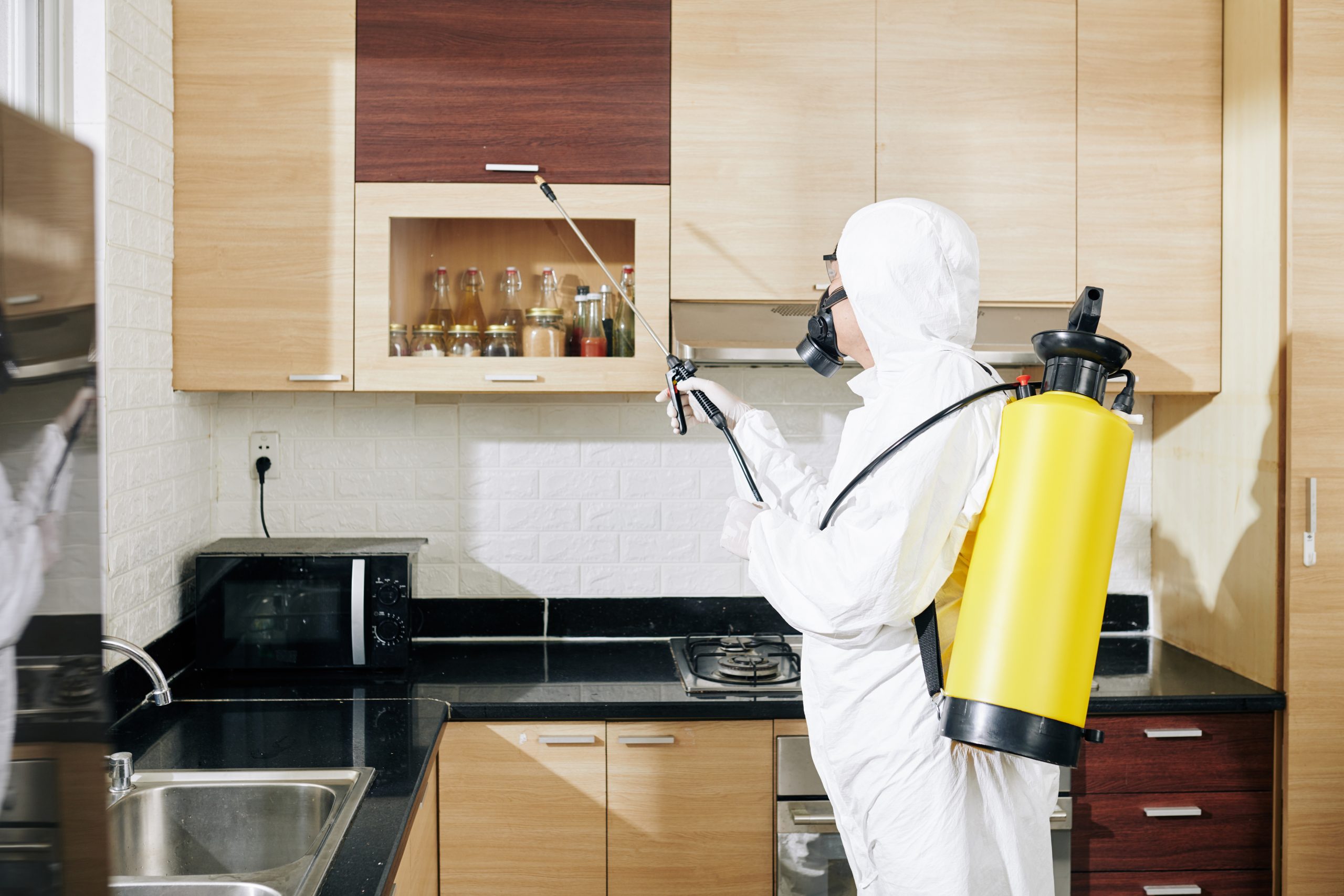 Disinfectant Cleaning Services